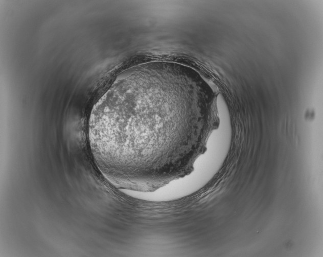 X0000089921156200707201812