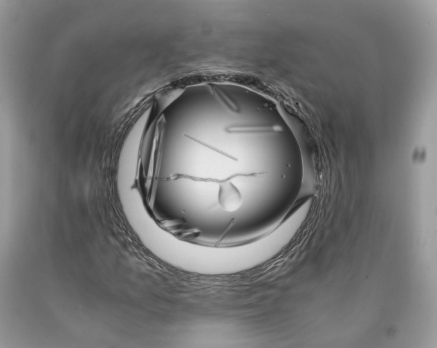 X0000089921157200707201812