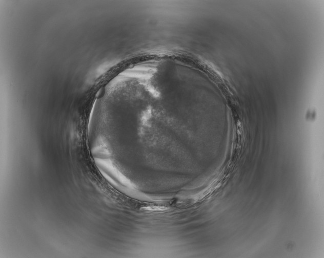 X0000089921158200707201812