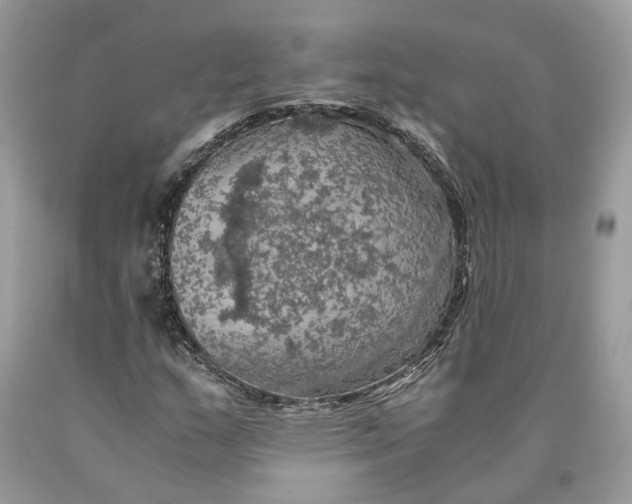 X0000089921159200707201812