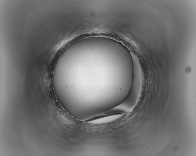 X0000089921160200707201812