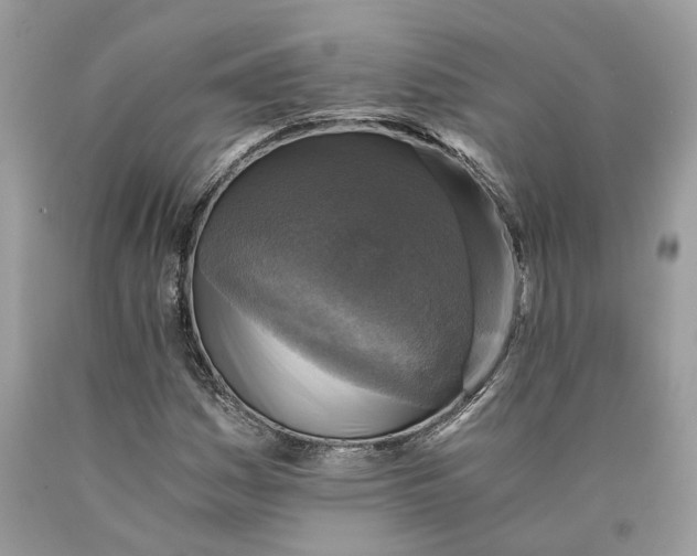 X0000089921161200707201811