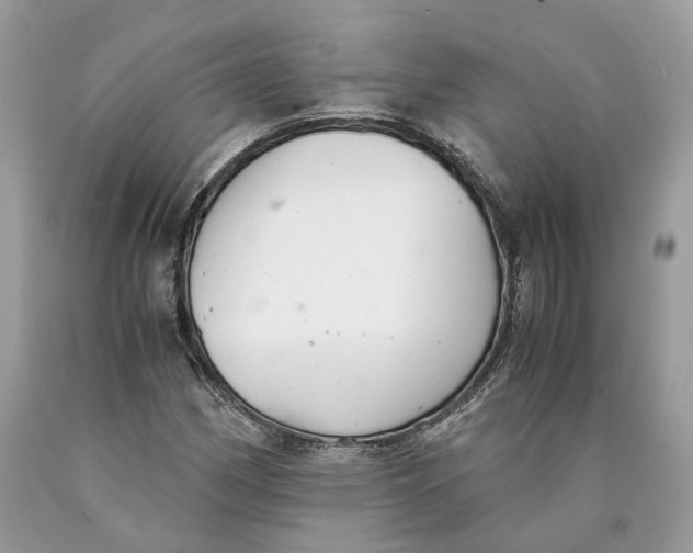 X0000089921162200707201811