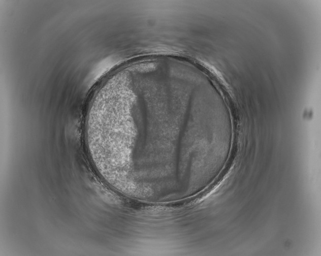 X0000089921163200707201811