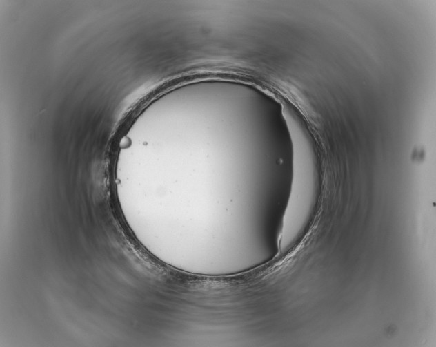 X0000089921164200707201811