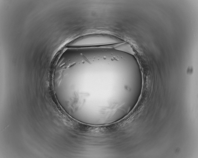 X0000089921165200707201811