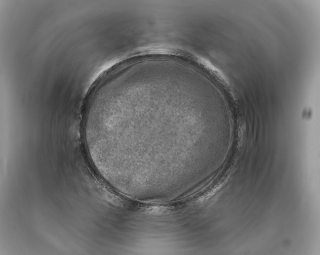 X0000089921166200707201811