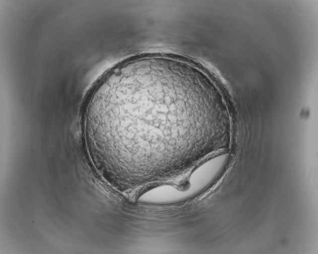 X0000089921167200707201811
