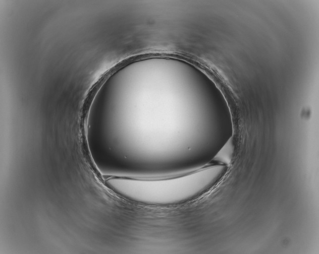 X0000089921168200707201811