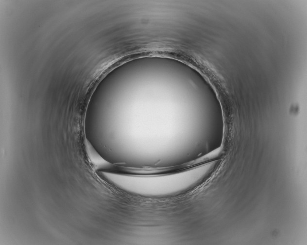 X0000089921169200707201811