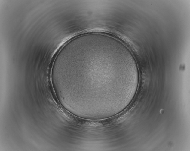 X0000089921170200707201811