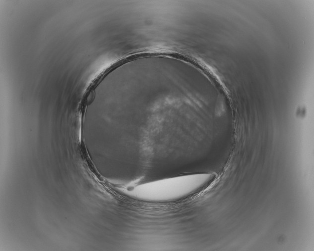 X0000089921171200707201811