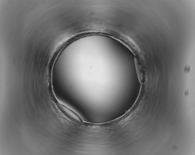 X0000089921172200707201811