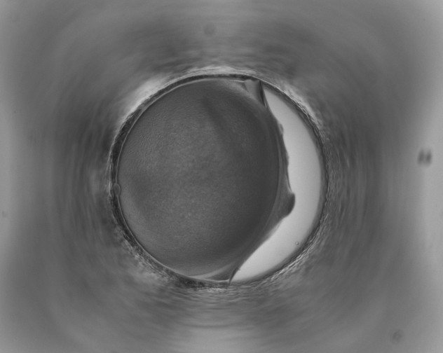 X0000089921173200707201811