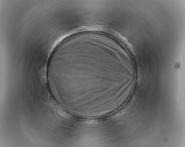 X0000089921174200707201811