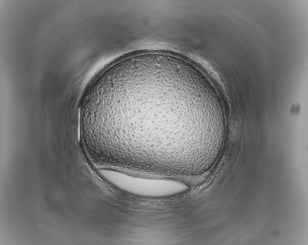 X0000089921175200707201811