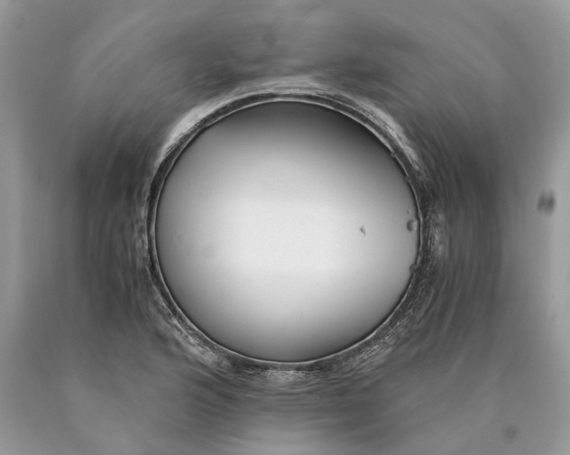 X0000089921176200707201811