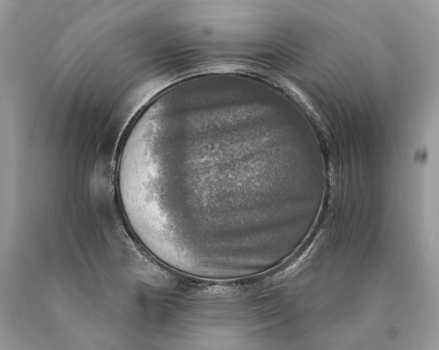 X0000089921178200707201811