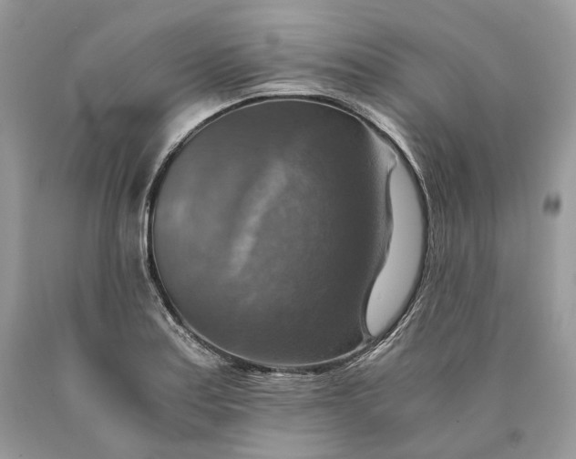 X0000089921179200707201811