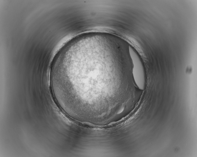 X0000089921180200707201811