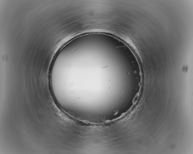 X0000089921181200707201811