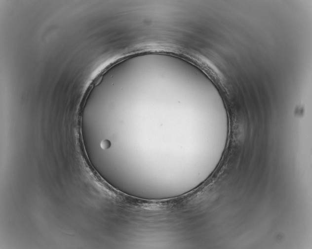 X0000089921182200707201811