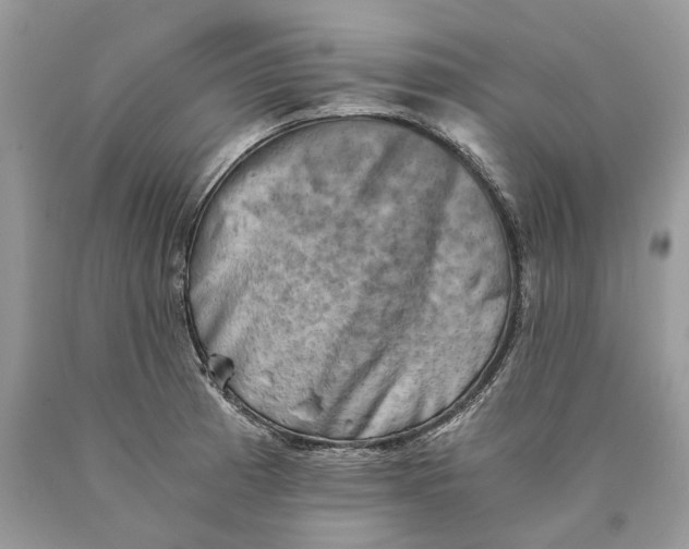 X0000089921185200707201811