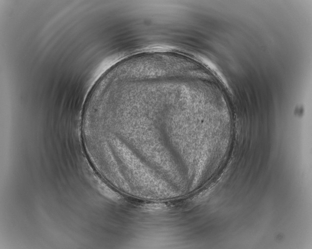 X0000089921186200707201811