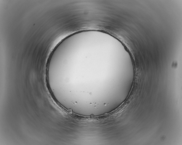 X0000089921187200707201811