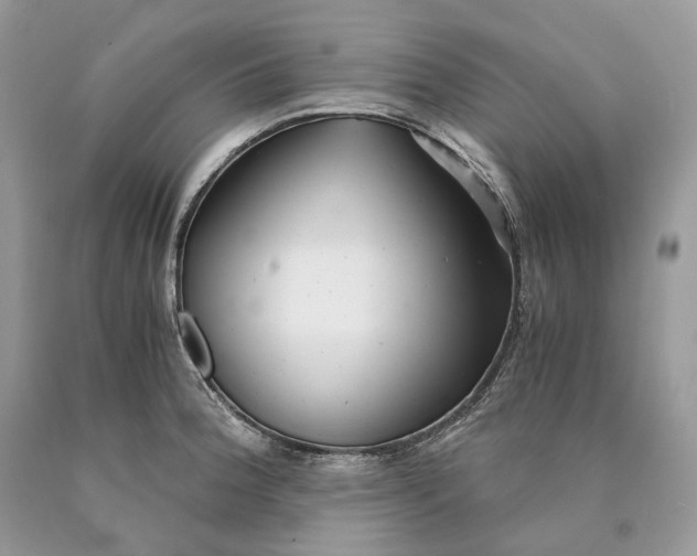 X0000089921188200707201811