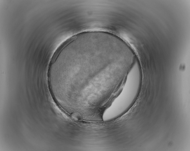 X0000089921189200707201811