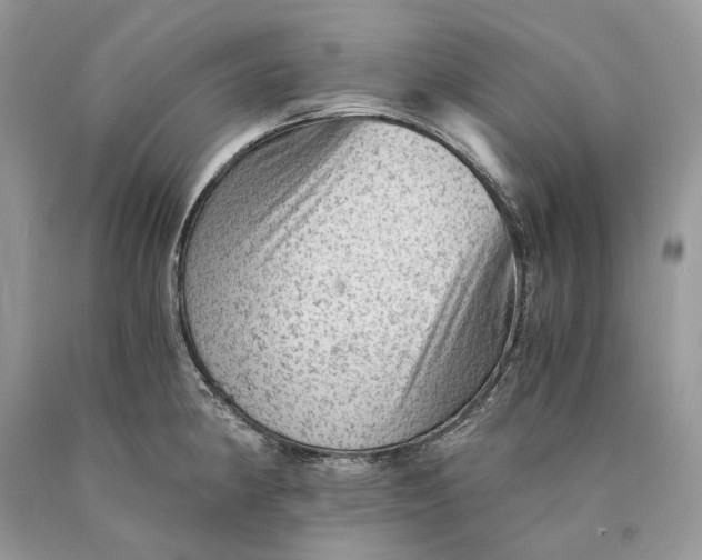 X0000089921190200707201811