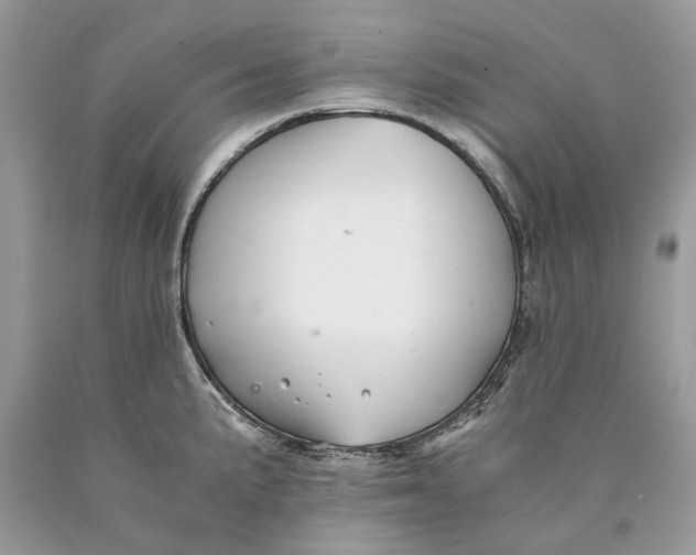 X0000089921191200707201811