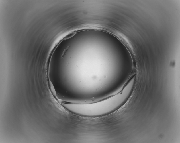 X0000089921192200707201811