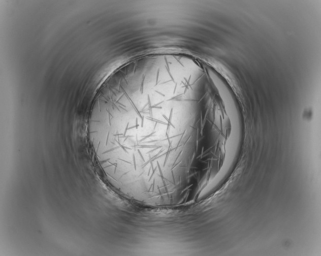 X0000089921193200707201811