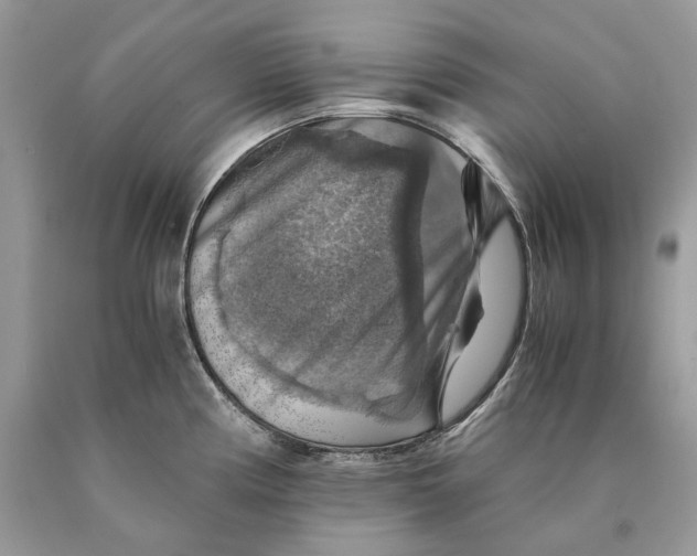 X0000089921194200707201811