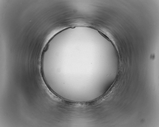 X0000089921195200707201811