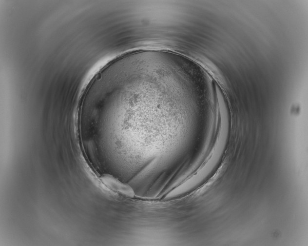 X0000089921196200707201811