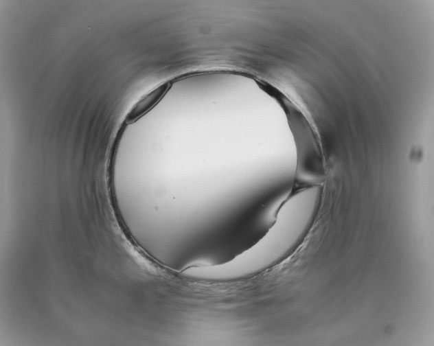 X0000089921197200707201811