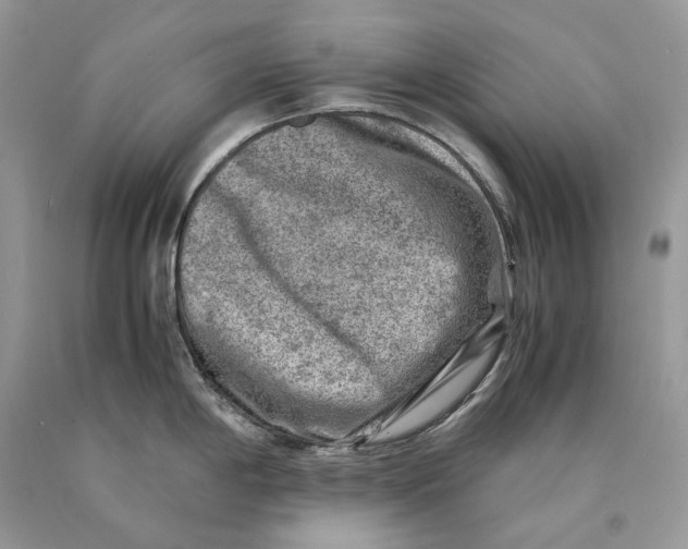 X0000089921198200707201811