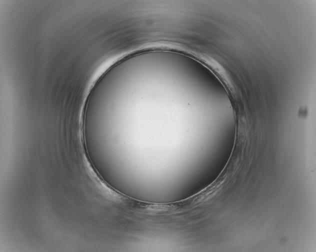 X0000089921199200707201811