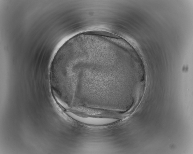 X0000089921200200707201811