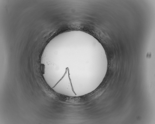 X0000089921201200707201810