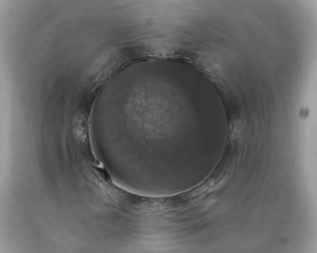 X0000089921202200707201810
