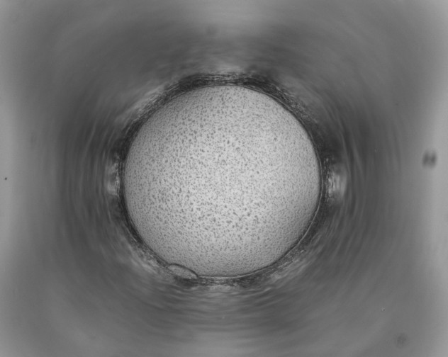 X0000089921204200707201810