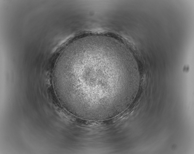 X0000089921205200707201810