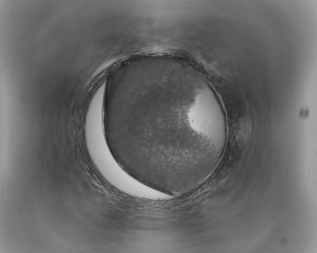 X0000089921206200707201810