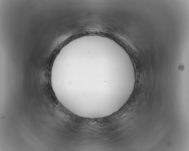 X0000089921207200707201810