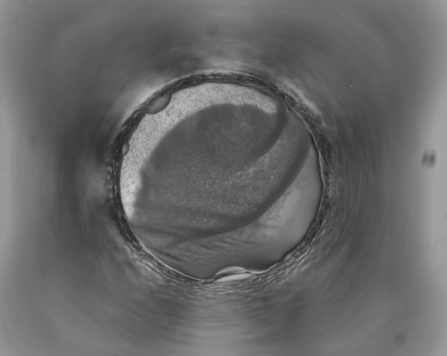 X0000089921208200707201810