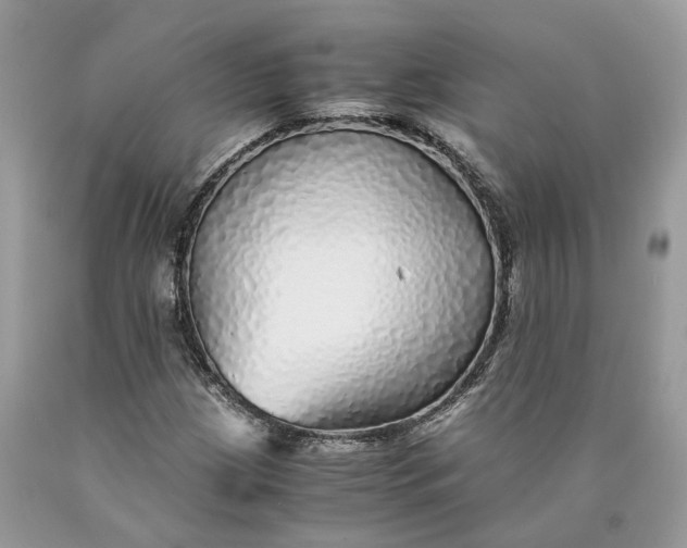 X0000089921209200707201810